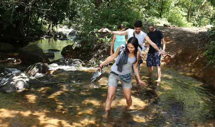 Swimming activities - Resort in Wayanad