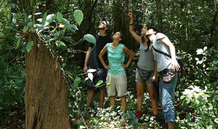 Best accomodation in wayanad